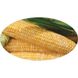 Лібертон F1 - насіння кукурудзи, 5000 шт, Agri Saaten 1076893278 фото 2
