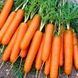 Морковь Джерада F1, 1 000 000 семян (1.8-2.0), Rijk Zwaan 84415 фото 2