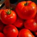 КС 204 F1 - насіння томата, 500 шт, Kitano 51346 фото 4