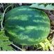 Ланкастер F1 - семена арбуза, 1000 шт, Libra Seeds 73001 фото 3