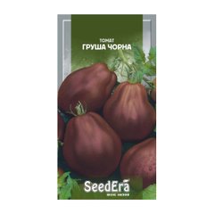 Груша Чорна, насіння томату, SeedErа опис, фото, відгуки