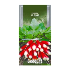 18 дней - семена редиса, Seedera описание, фото, отзывы