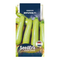 Ангелина F1 - семена кабачка, 10 шт, Syngenta (SeedEra) 21900 фото
