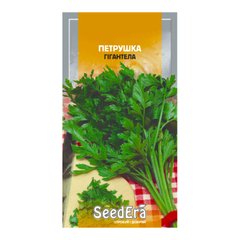 Гігантелла - насіння петрушки, SeedEra опис, фото, відгуки