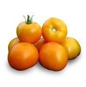 Нуксі F1 - насіння томата, 500 шт, Kitano 90576 фото