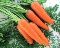 Емперор F1 - насіння морква, Hazera опис, фото, відгуки