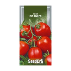 Ріо Фуего, насіння томату, SeedErа опис, фото, відгуки