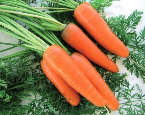 Эмперор F1 - семена моркови, 100 000 шт, Hazera 44518 фото