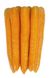 Морква Джерада F1, 100 000 насінин (1.6-1.8), Rijk Zwaan 86811 фото 2