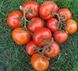 Нада F1 - насіння томата, 250 шт, Esasem 95192 фото 2