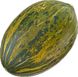 Алмаден F1 - насіння дині, 250 шт, Enza Zaden 20900 фото 2