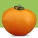 Нуксі F1 - насіння томата, 1000 шт, Kitano 62041 фото 3