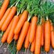 Морковь Джерада F1, 100 000 семян (1.6-1.8), Rijk Zwaan 86811 фото 1