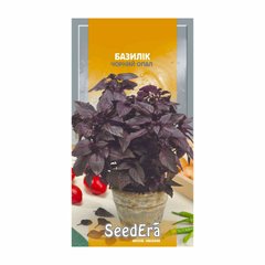 Черный Опал - семена базилика, SeedEra описание, фото, отзывы