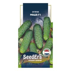 Маша F1 - насіння огірка, 10 шт, Seminis (SeedEra) 26655 фото