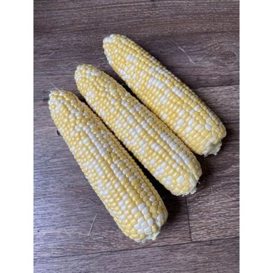 Акведук F1 - семена кукурузы биколор, 25 000 шт, Spark Seeds 64880 фото