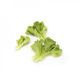 Ландау - насіння салату, 1000 шт (драже), Rijk Zwaan 47315 фото 3
