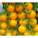Стар Голд F1 - насіння томата, 250 шт, Esasem 95196 фото 1
