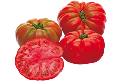 Ред Кой F1 - насіння томата, 100 шт, Yuksel seeds 16680 фото