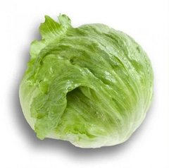 Солейсон - насіння салату, 5 г, Hazera 76800 фото