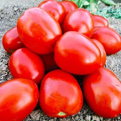 Морелія F1 - насіння томата, 500 шт, Enza Zaden 11250 фото