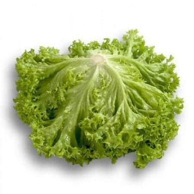 Лозано - насіння салату, 1000 шт (драже), Rijk Zwaan 51629 фото