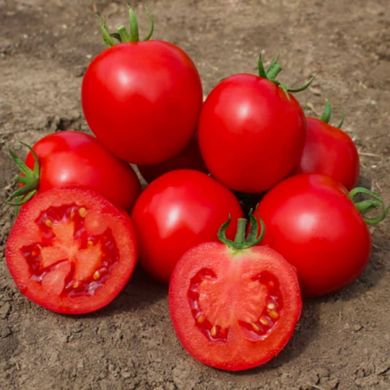 Асвон F1 - насіння томата, 10 шт, Kitano (Пан Фермер) 57591 фото