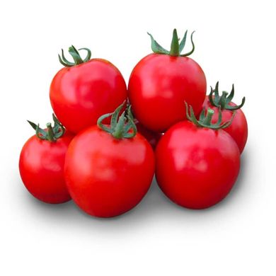 Асвон F1 - насіння томата, 100 шт, Kitano (Пан Фермер) 57593 фото