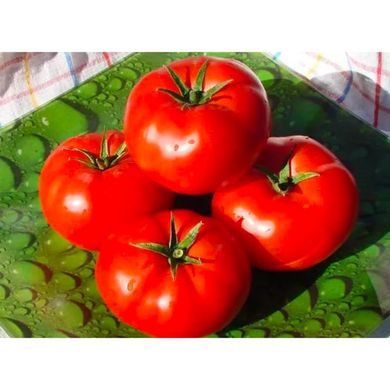 Бобкат F1 - насіння томату, 50 шт, Syngenta (Пан Фермер) 94093 фото