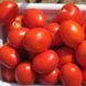 Фоккер F1 - насіння томата, 25 000 шт, Nunhems 99485 фото 1