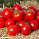 Асвон F1 - насіння томата, 10 шт, Kitano (Пан Фермер) 57591 фото 2