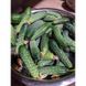 Капрікорн F1 - насіння огірка, 500 шт, Yuksel seeds 00465 фото 3