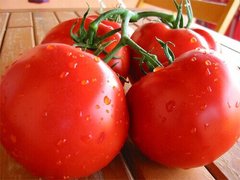 Таня F1 - насіння томата, 1000 шт, Seminis 90179 фото