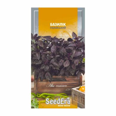 Італійський, фіолетовий - насіння базиліка, SeedEra опис, фото, відгуки