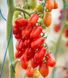 Коліна F1 - насіння томата, 250 шт, Esasem 95197 фото 1