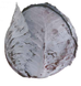 Редгард F1 - семена капуста краснокочанной, 2500 шт, Clause 57830 фото 1