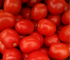 Фортікс F1 - насіння томата, 5000 шт, Syngenta 90-143 фото