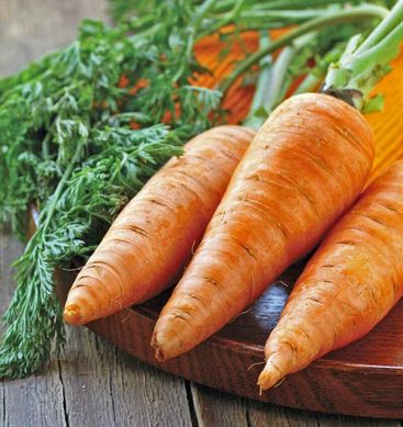 Шантане Роял - насіння моркви, 10 г, СЦ Традиція 1114285821 фото