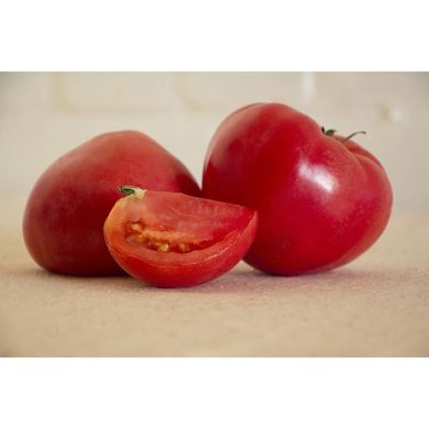 Асано F1 (КС 38 F1) - насіння томата, 100 шт, Kitano 50335 фото