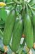 Супер Бейбі F1 - насіння огірка, 500 шт, Yuksel seeds 1013178561 фото 2