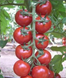 Арома F1 - насіння томата, 100 шт, Yuksel seeds 1013316678 фото 2
