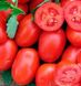 3402 F1 - насіння томата, 100 000 шт, Lark Seeds 09304 фото 1