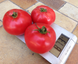 Афен F1 - насіння томата, 1000 шт, Clause 52327 фото 3