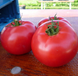 Афен F1 - насіння томата, 1000 шт, Clause 52327 фото 1