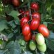 Люсі Плюс F1 - насіння томата, 250 шт, Hazera 66252 фото 2