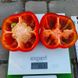 Халк F1 - семена сладкого перца, 500 шт, Sakata 65863 фото 5