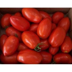 Кендрас F1 - насіння томата, 25 000 шт, Nunhems 99387 фото
