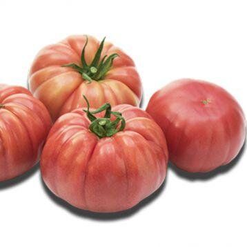 Пінк Кой F1 - насіння томата, 100 шт, Yuksel seeds 16682 фото