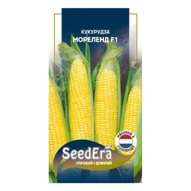 Мореленд F1 - семена кукурузы, 20 шт, Syngenta (SeedEra) 01879 фото