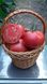 Сім-Сім (EZ 777) F1 - насіння томата, 100 шт, Libra Seeds 70102 фото 6